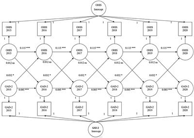 Online health information seeking and the association with anxiety among older adults